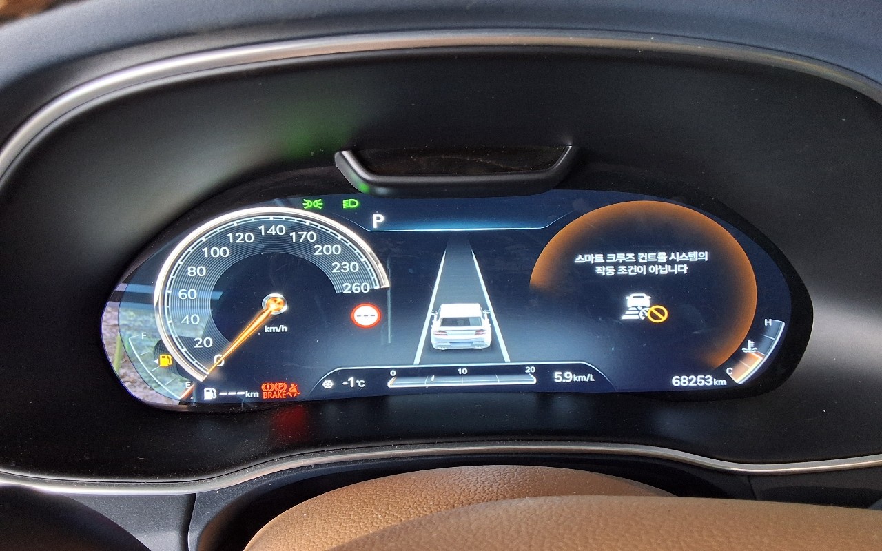 GV80_الكود 4009