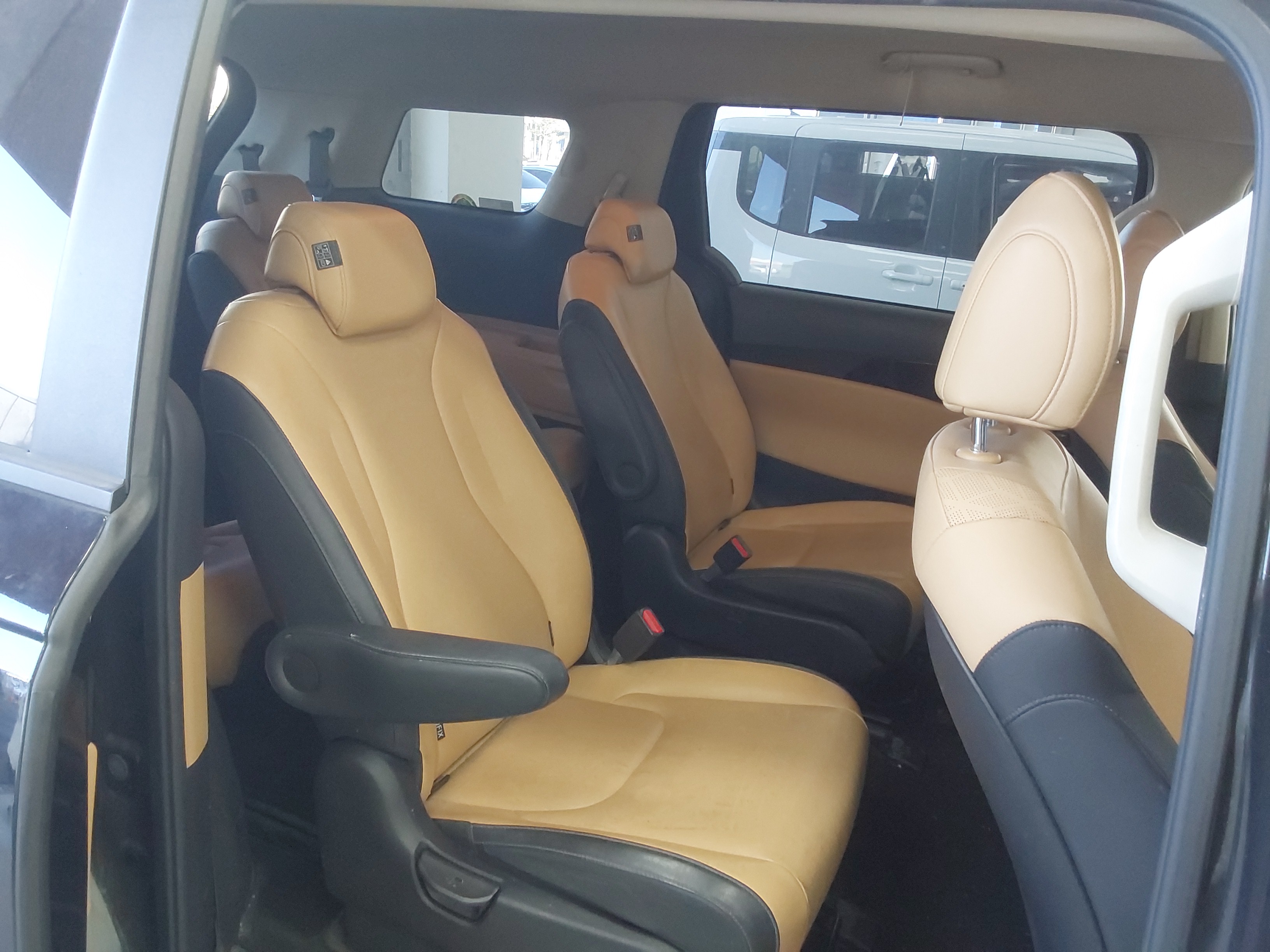 كرنفال -الكود 3169