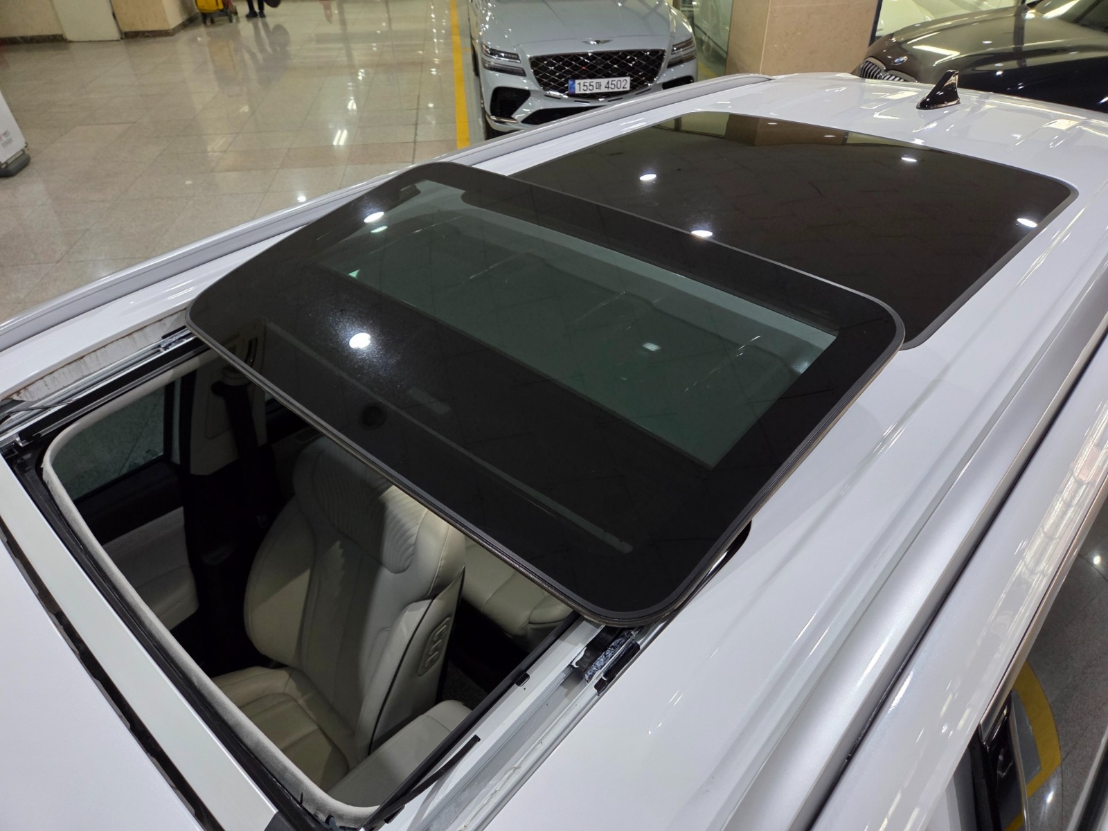 	باليسيد دبل