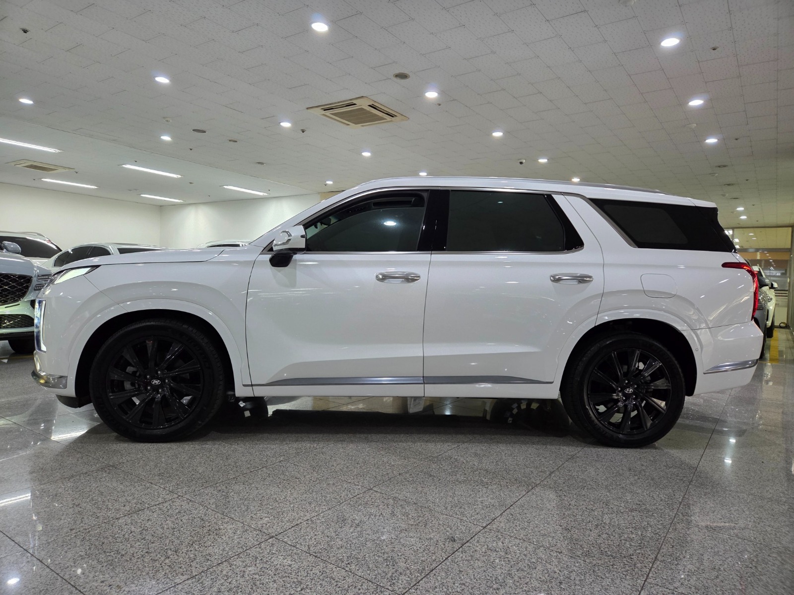 	باليسيد دبل