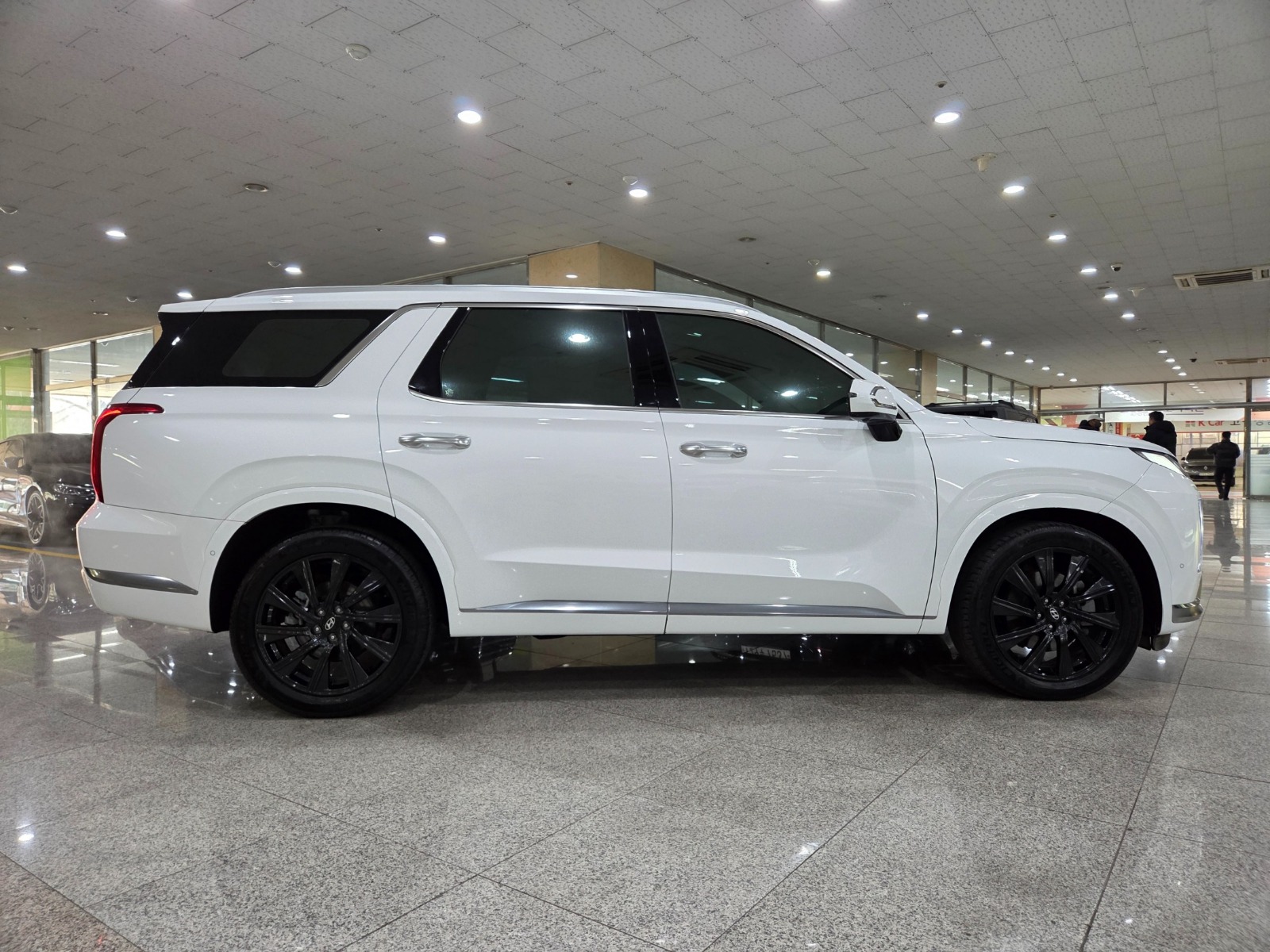 	باليسيد دبل