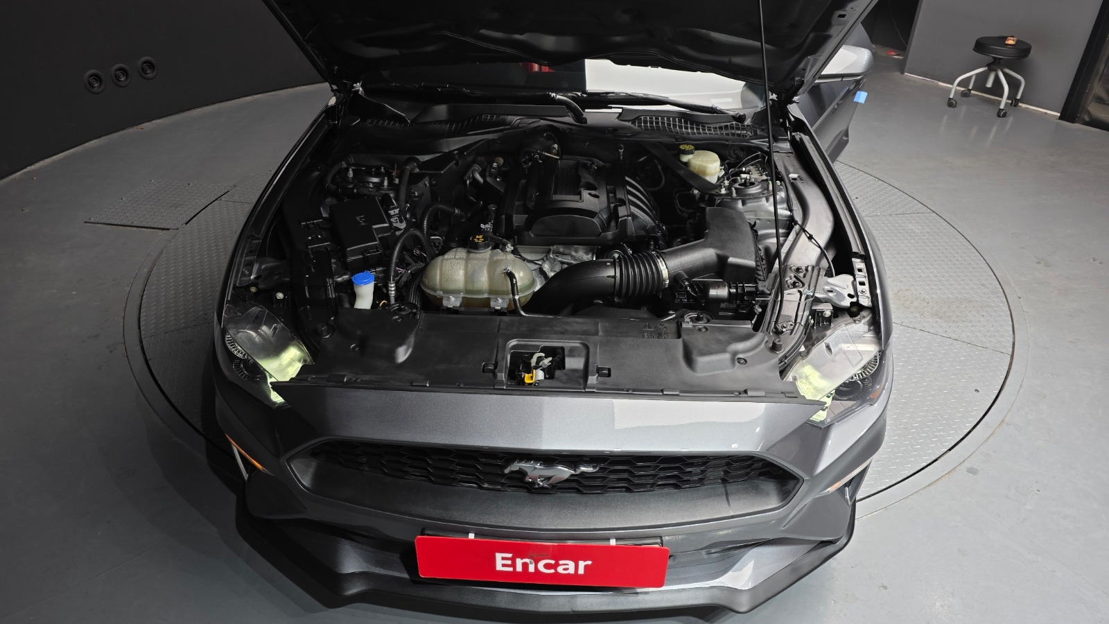 فورد موستنق